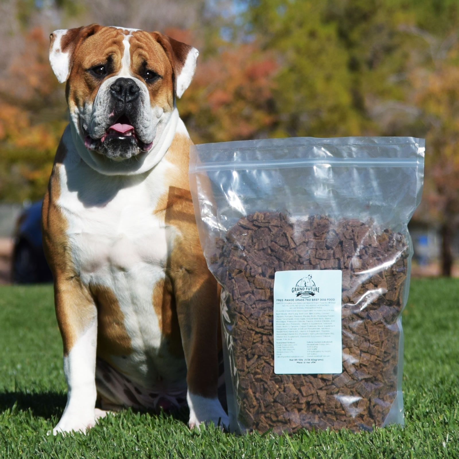 Grand Future Beef Dog Food